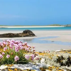 https://wild-atlantic-stay-guest-house-self-catering-accommodation.westport-hotels.com
